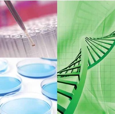 سعر جيد ارفع من عمليات التكرير الحيوي لديك مع تعدد استخدامات تقنية إنزيم CALB الانترنت