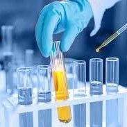 سعر جيد اختبر الكفاءة المعززة والدقة في الإنتاج الصيدلاني باستخدام إنزيم CALB الانترنت