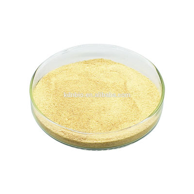 سعر جيد زيت الماء ليباز إنزيم الاستخدام الصناعي للدهون التحفيز الحيوي زيادة هضم الدهون الانترنت