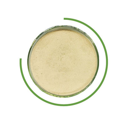 سعر جيد الدنيم غسل تآكل سليولاز إنزيم محايد إنزيم سلولاز جينز حبيبي الانترنت