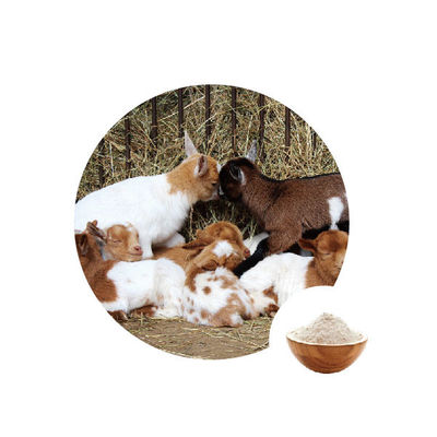 سعر جيد المضافات الغذائية الجلوكوز أوكسيديز رقم EC 1.1.3.4 الانترنت