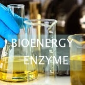 سعر جيد يحفز ISO Lipase تحويل نفايات زيت الطهي إلى وقود الديزل الحيوي الانترنت