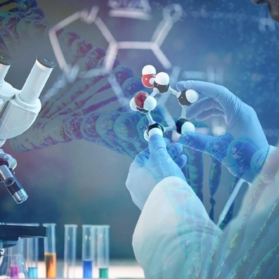 سعر جيد تفوق في المنافسة: الاستفادة من الإمكانات الكاملة لمبيضات Candida Antarctica Lipase B. الانترنت