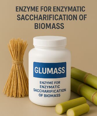 سعر جيد إنزيم عالية الكفاءة لتحويل الكتلة الحيوية بالكامل إلى سكر الانترنت